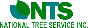National Tree Service